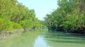 Shonakata Eco Park, Bhola
