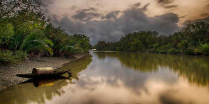Fatrar Char, Patuakhali